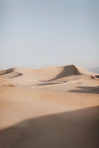 Desert Dunes — Nature Print.