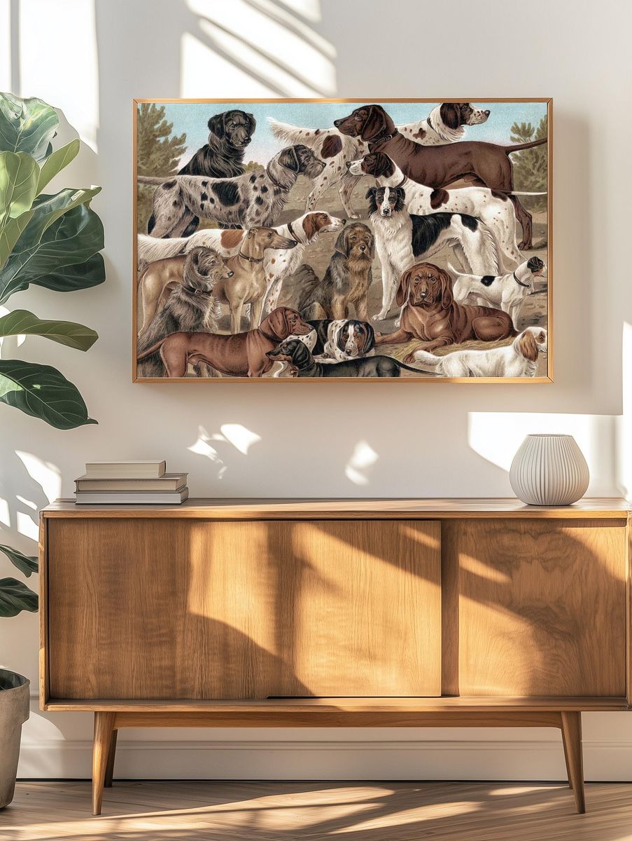 Dogs of Various Breeds — Vintage Print. — room view 3