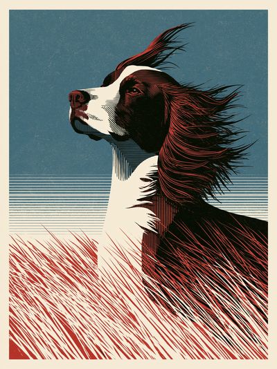 Windblown Dog Illustration Poster.