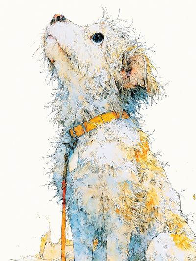 Curious Dog Watercolor Poster.