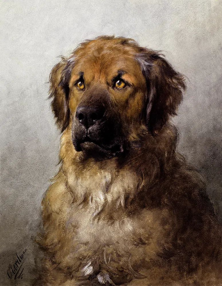 Head Leonberger (c.1880–c.1892) drawing high. poster detail