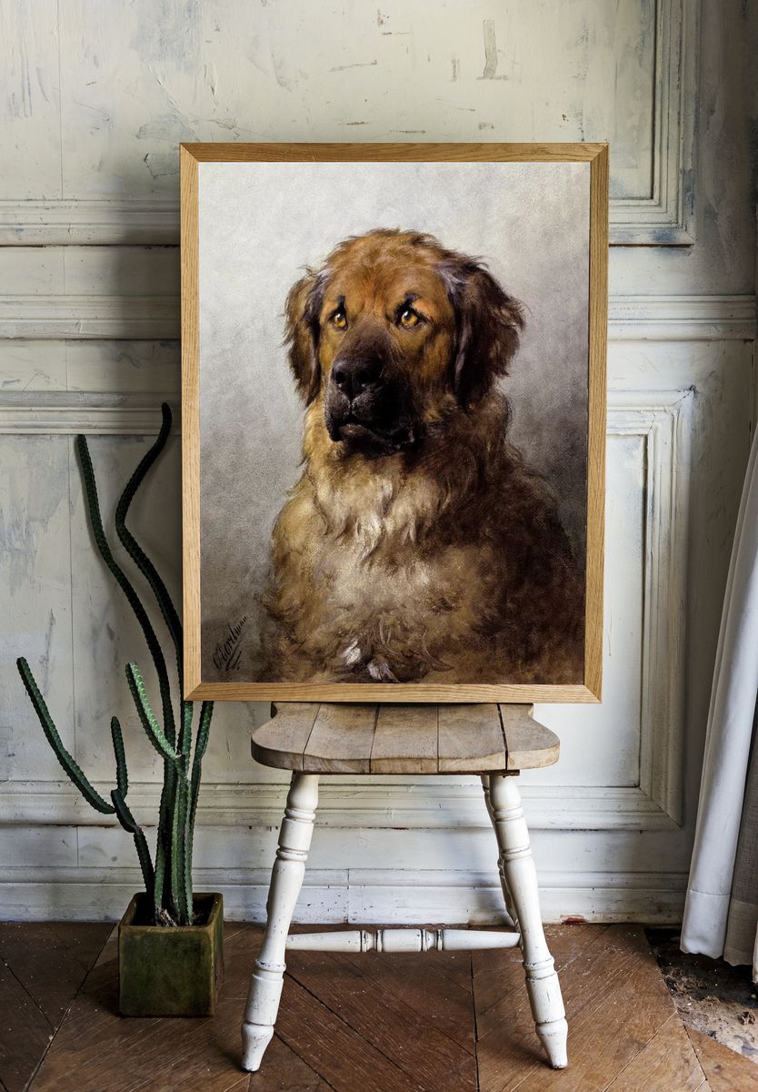 Head Leonberger (c.1880–c.1892) drawing high. — room view 1
