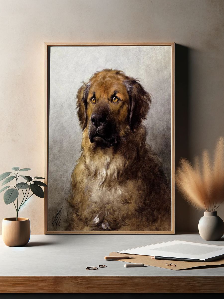 Head Leonberger (c.1880–c.1892) drawing high. — room view 2