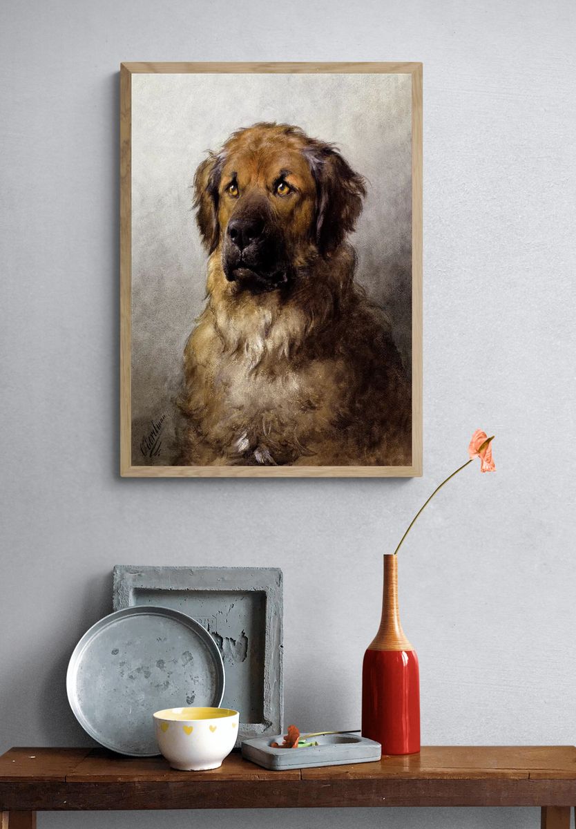 Head Leonberger (c.1880–c.1892) drawing high. — room view 3