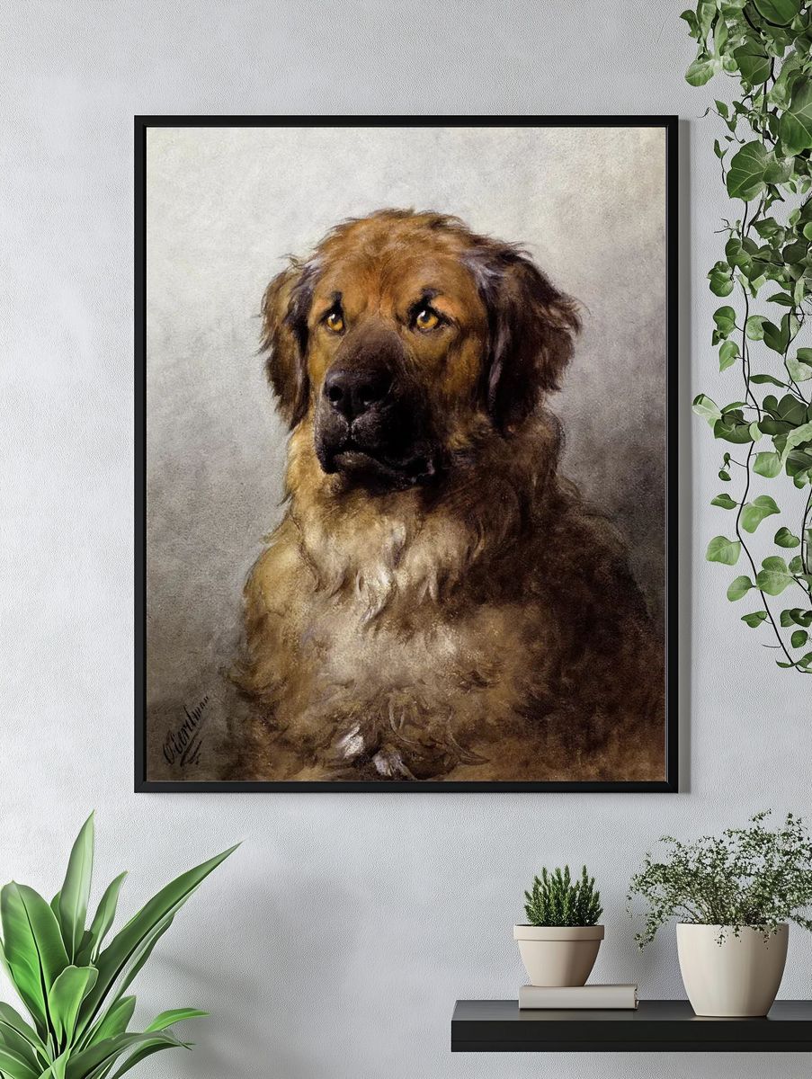 Head Leonberger (c.1880–c.1892) drawing high. — room view 4