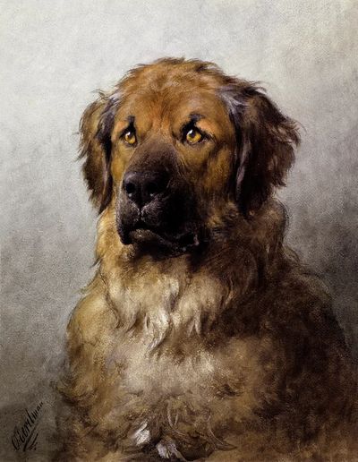 Head Leonberger (c.1880–c.1892) drawing high. poster