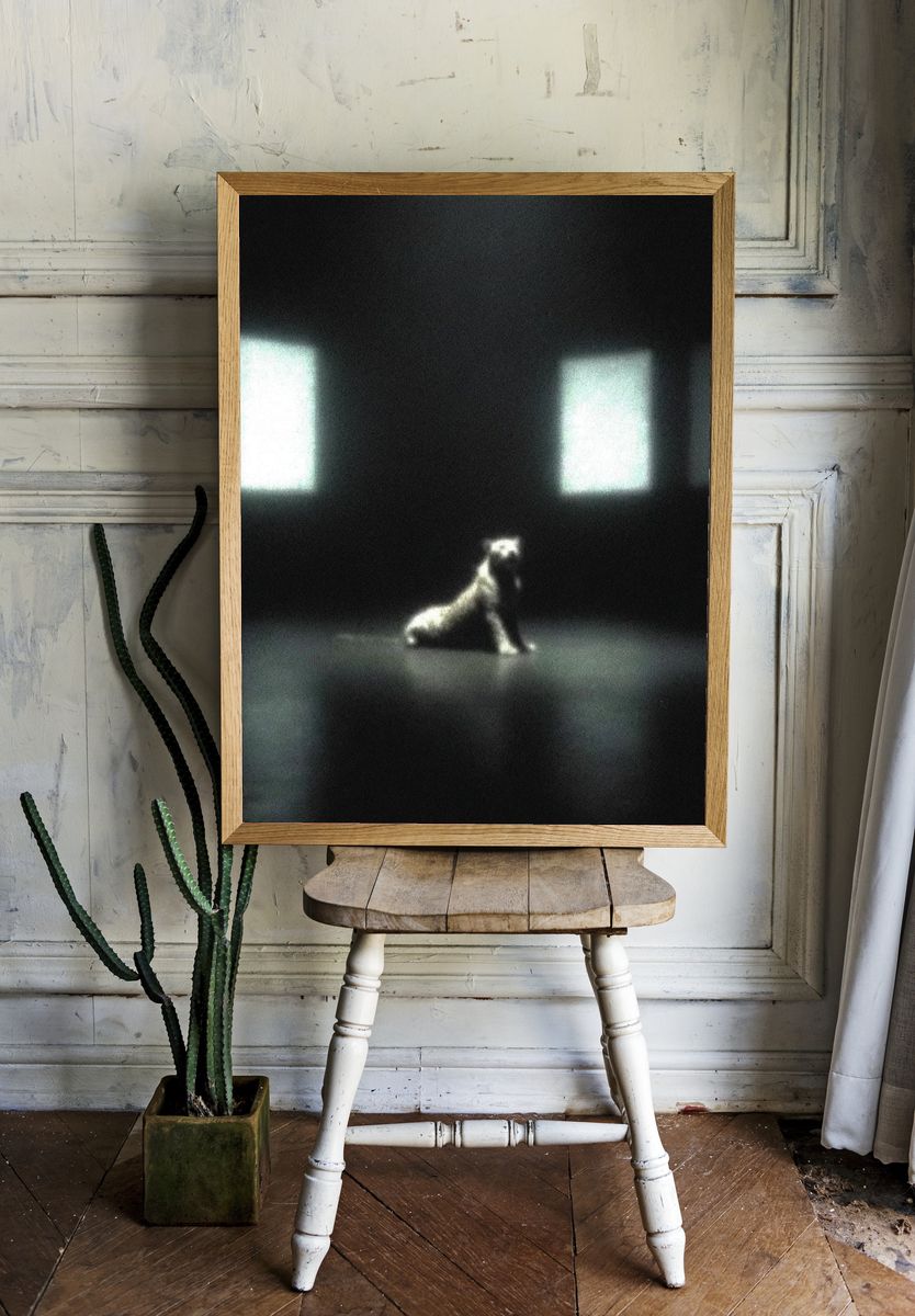Solitary Dog in Dark Room Poster. — room view 1