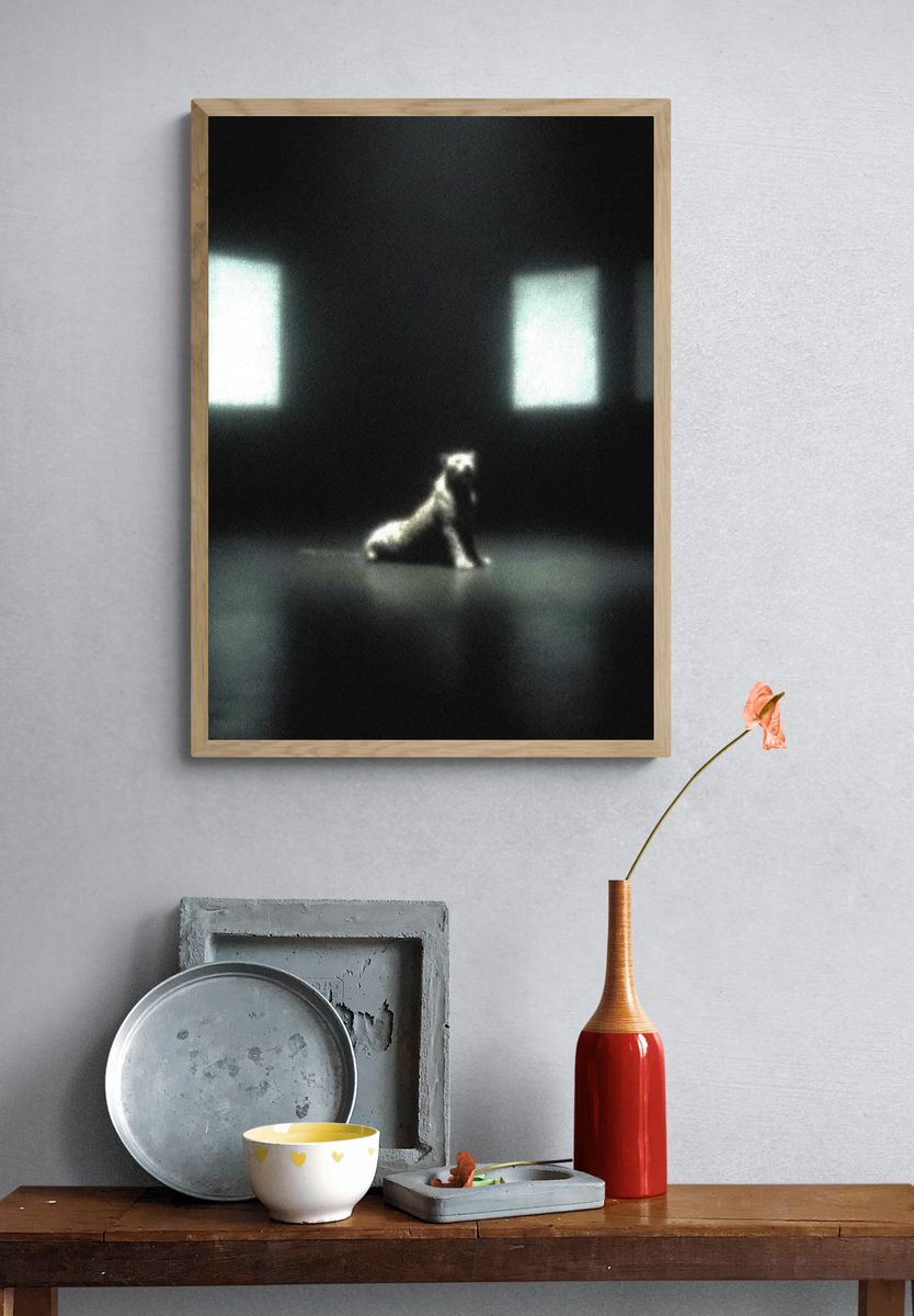 Solitary Dog in Dark Room Poster. — room view 3