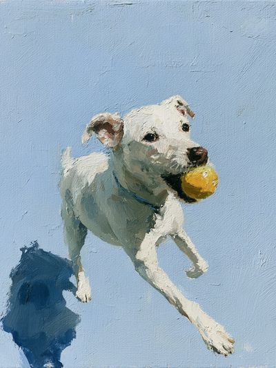 Playful Dog with Ball Poster.