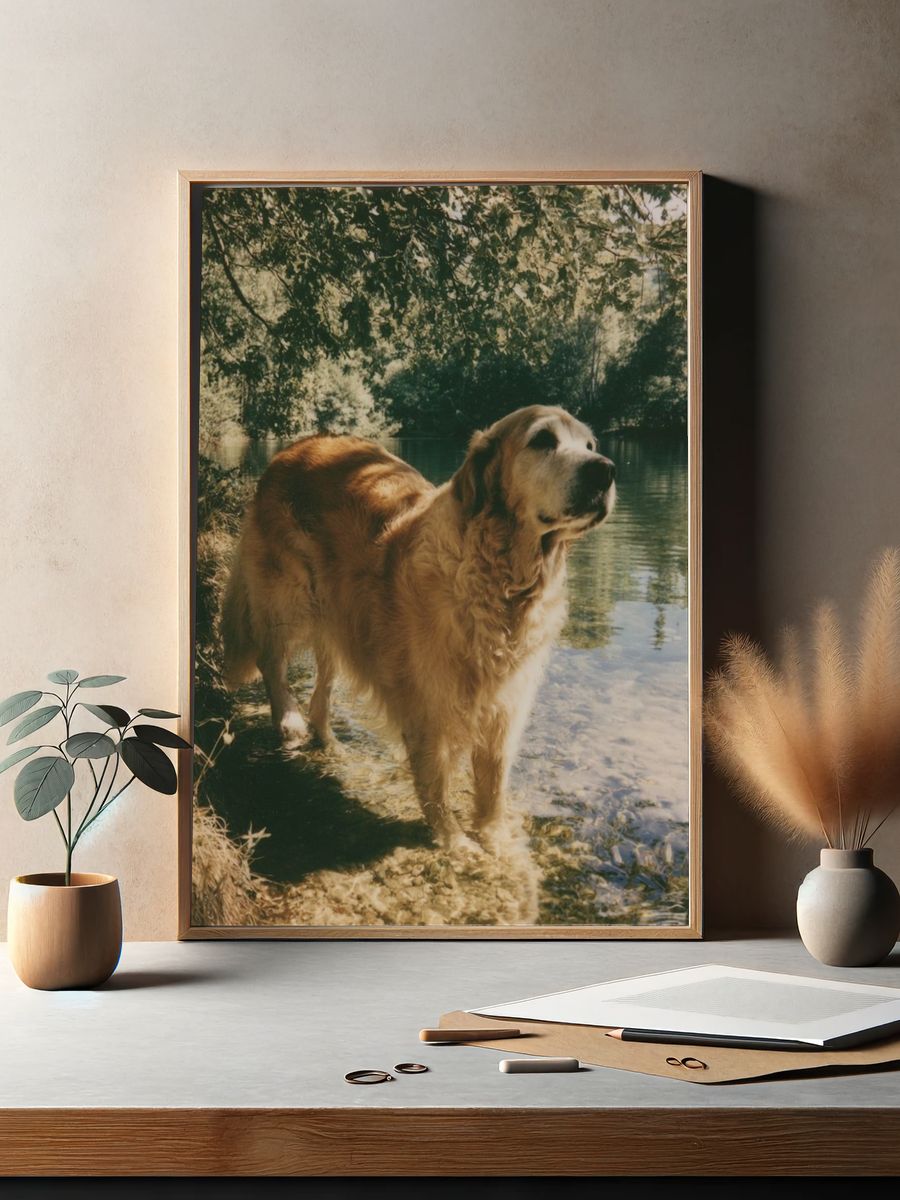 Golden Retriever by the Lake Poster. — room view 2