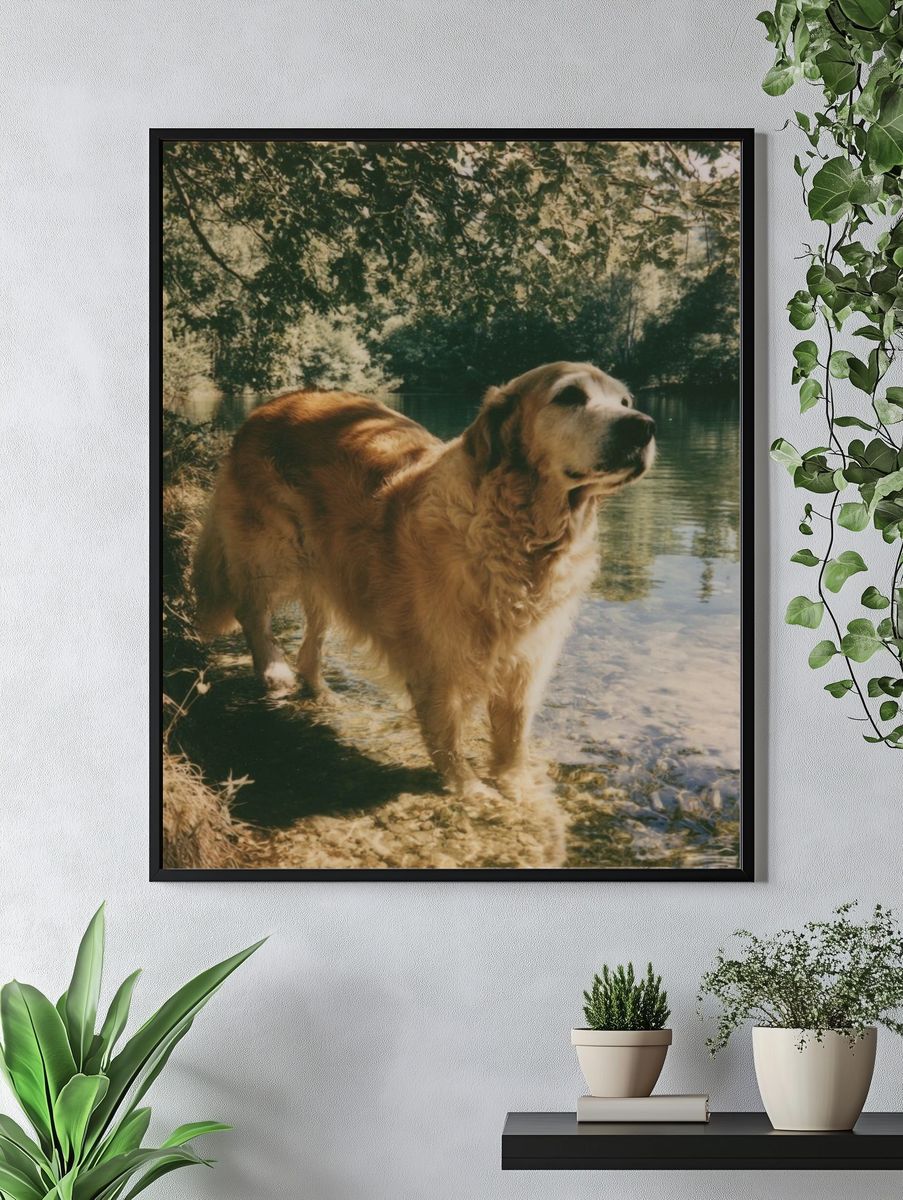 Golden Retriever by the Lake Poster. — room view 4