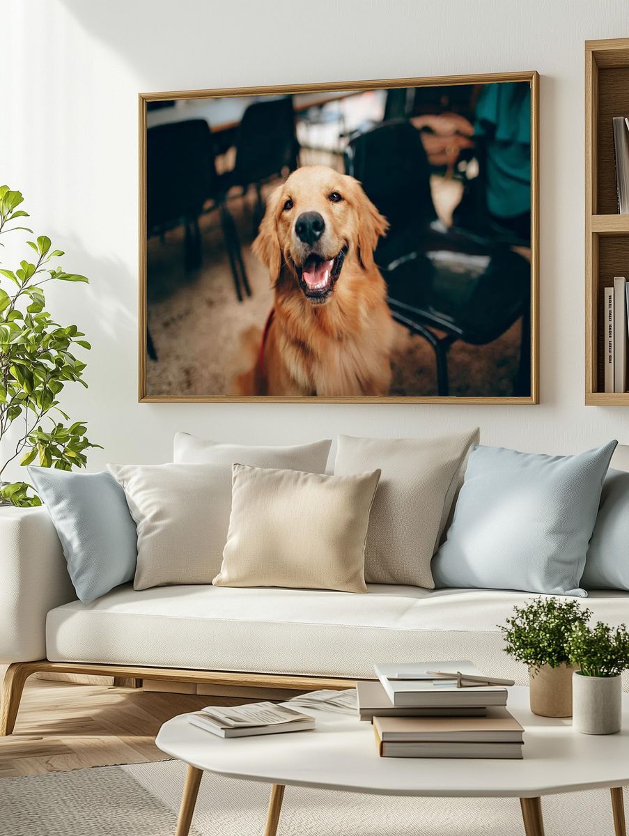 Happy Golden Retriever dog. — room view 2