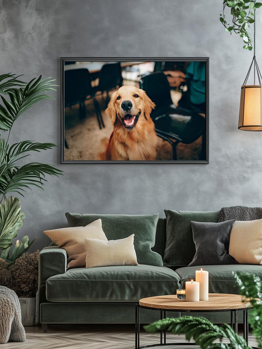 Happy Golden Retriever dog. — room view 4