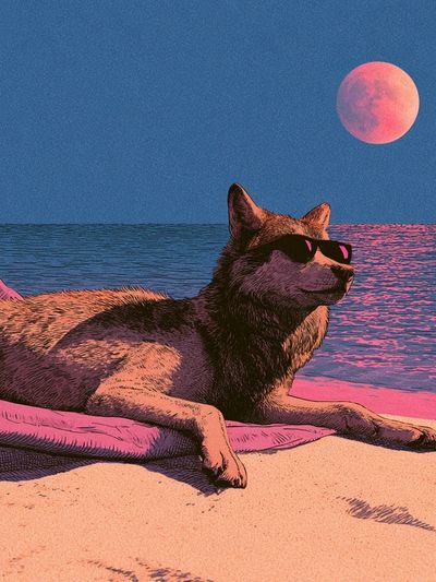 Cool Dog Beach Moon Poster. poster