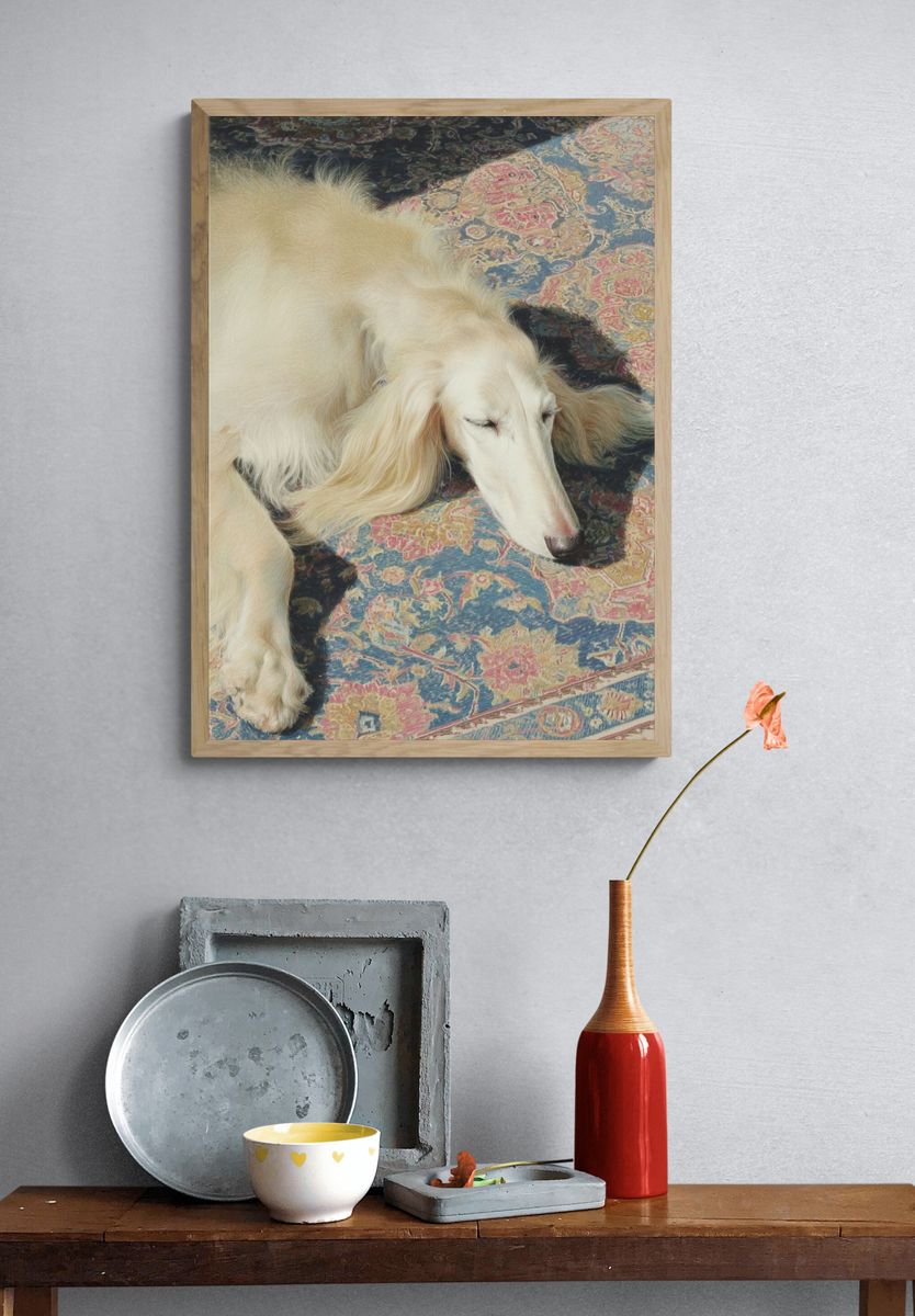 Sleeping White Dog Photography Poster. — room view 3