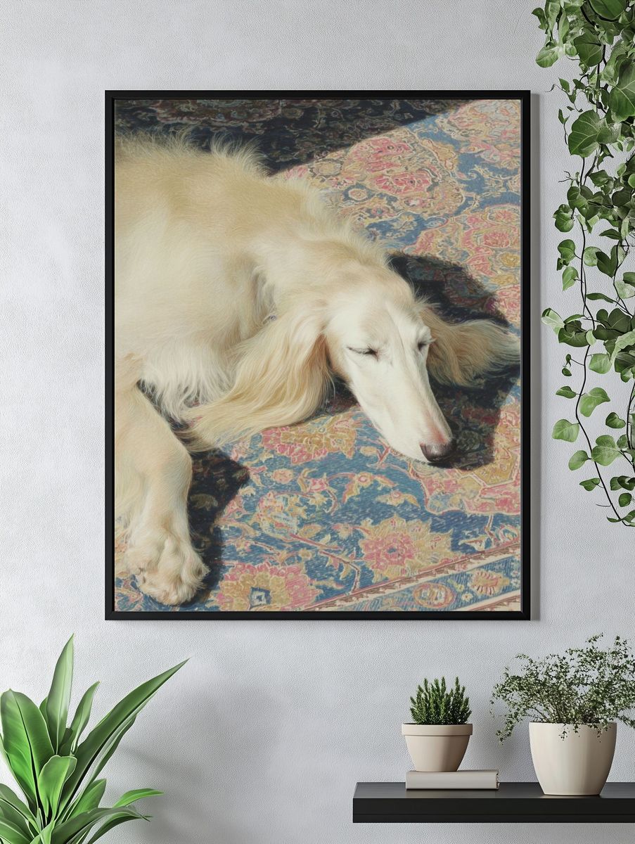 Sleeping White Dog Photography Poster. — room view 4
