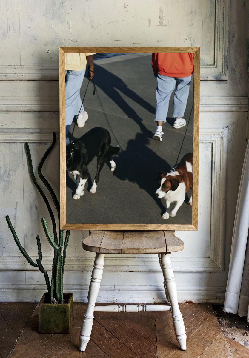 Dogs on Leashes Street Photography Poster. room preview