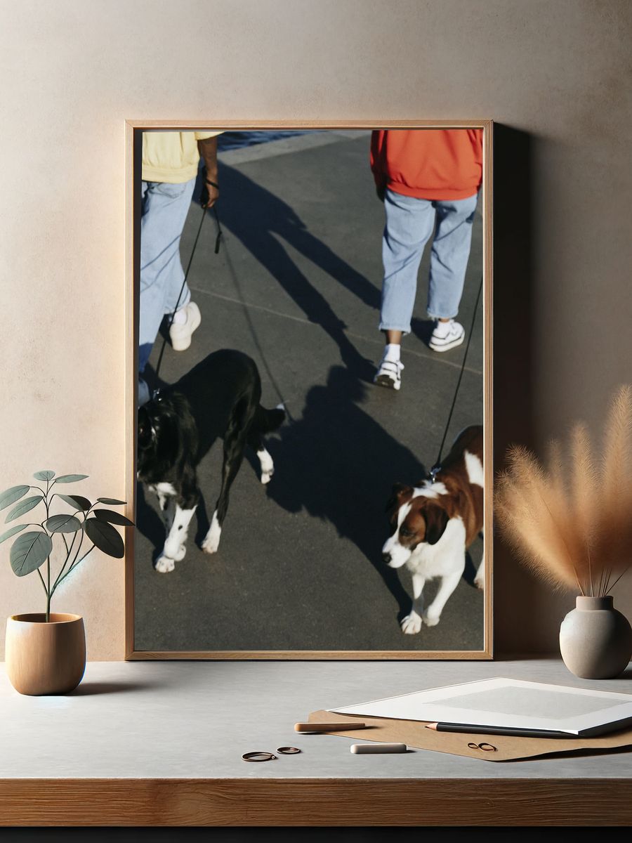 Dogs on Leashes Street Photography Poster. — room view 2