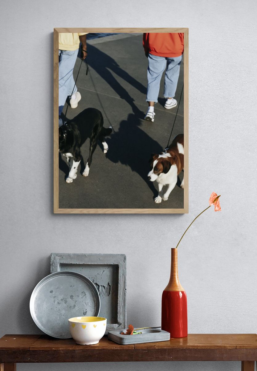 Dogs on Leashes Street Photography Poster. — room view 3