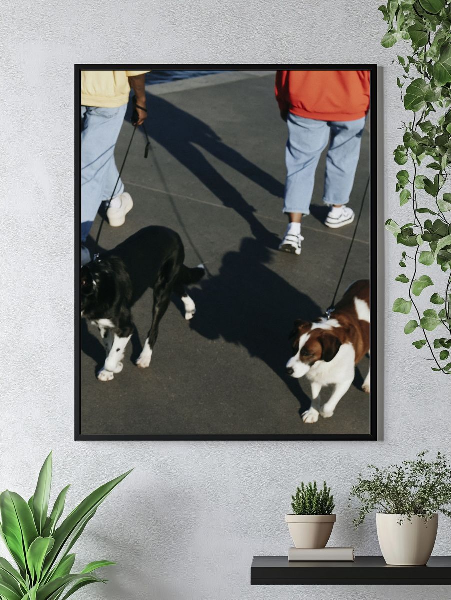 Dogs on Leashes Street Photography Poster. — room view 4