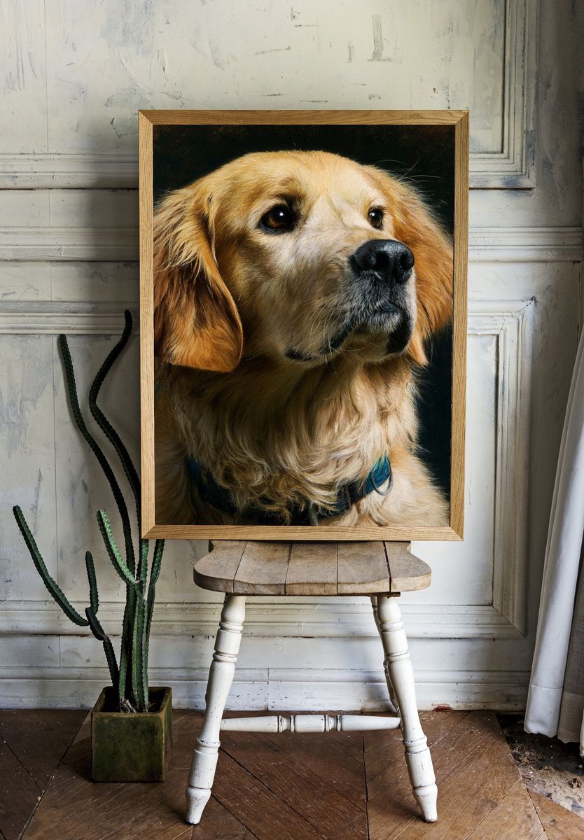 Golden Retriever Portrait Print. — room view 1