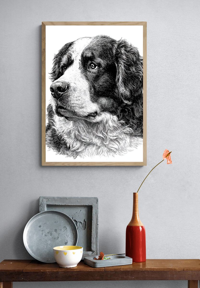 Bernese Mountain Dog Portrait Print. — room view 3
