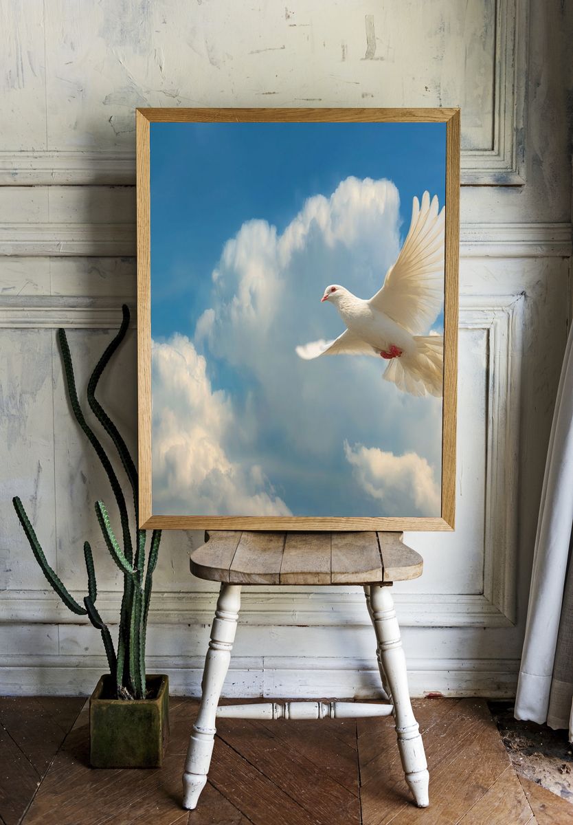White Dove in Flight — Photography Print room preview