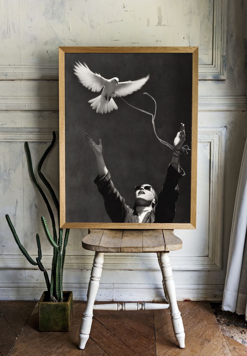 Dove Release Photography Poster. room preview