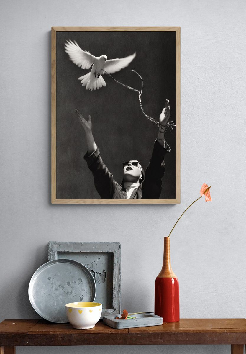 Dove Release Photography Poster. — room view 3