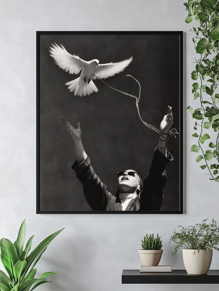 Dove Release Photography Poster. — room view 4