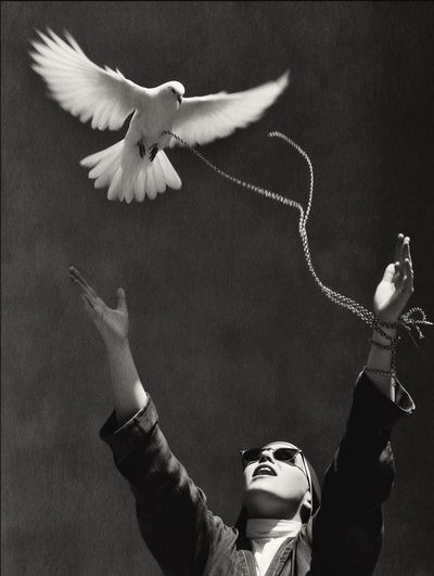 Dove Release Photography Poster.