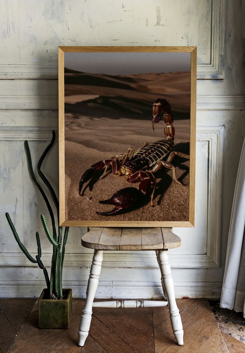 Desert Scorpion Photography Poster. — room view 1
