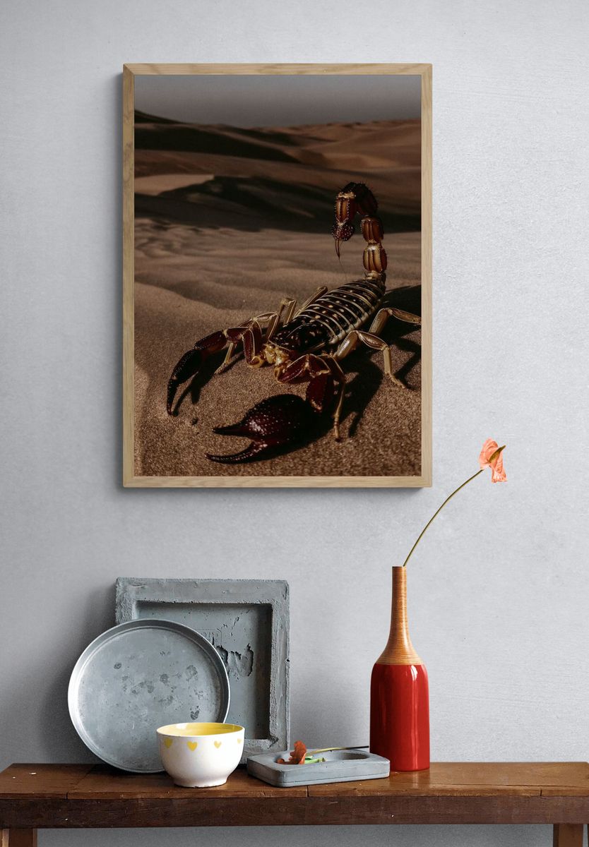 Desert Scorpion Photography Poster. — room view 3