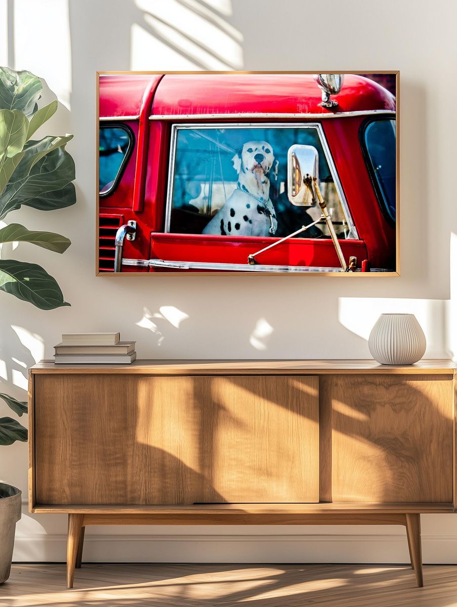 Dalmatian in Red Truck Poster. — room view 3