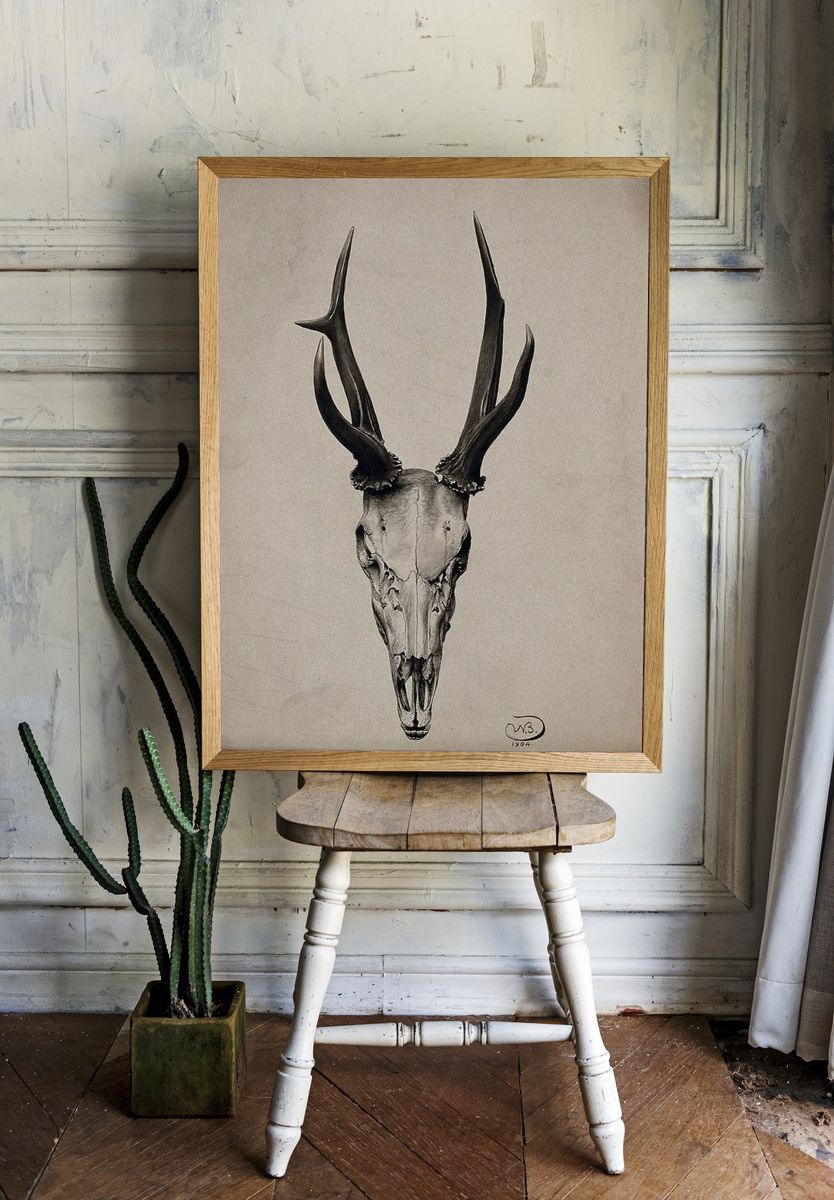 Deer Skull — Fine Art Print. — room view 1