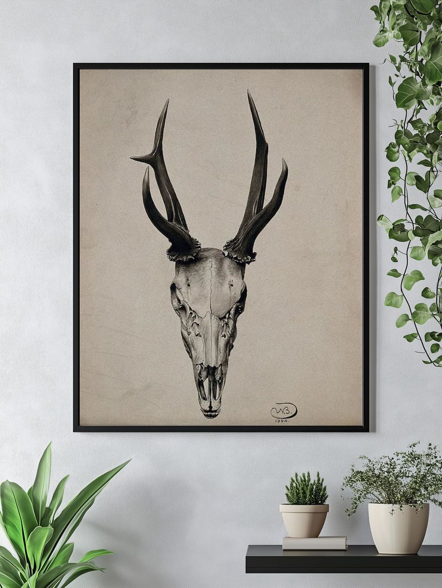 Deer Skull — Fine Art Print. — room view 4