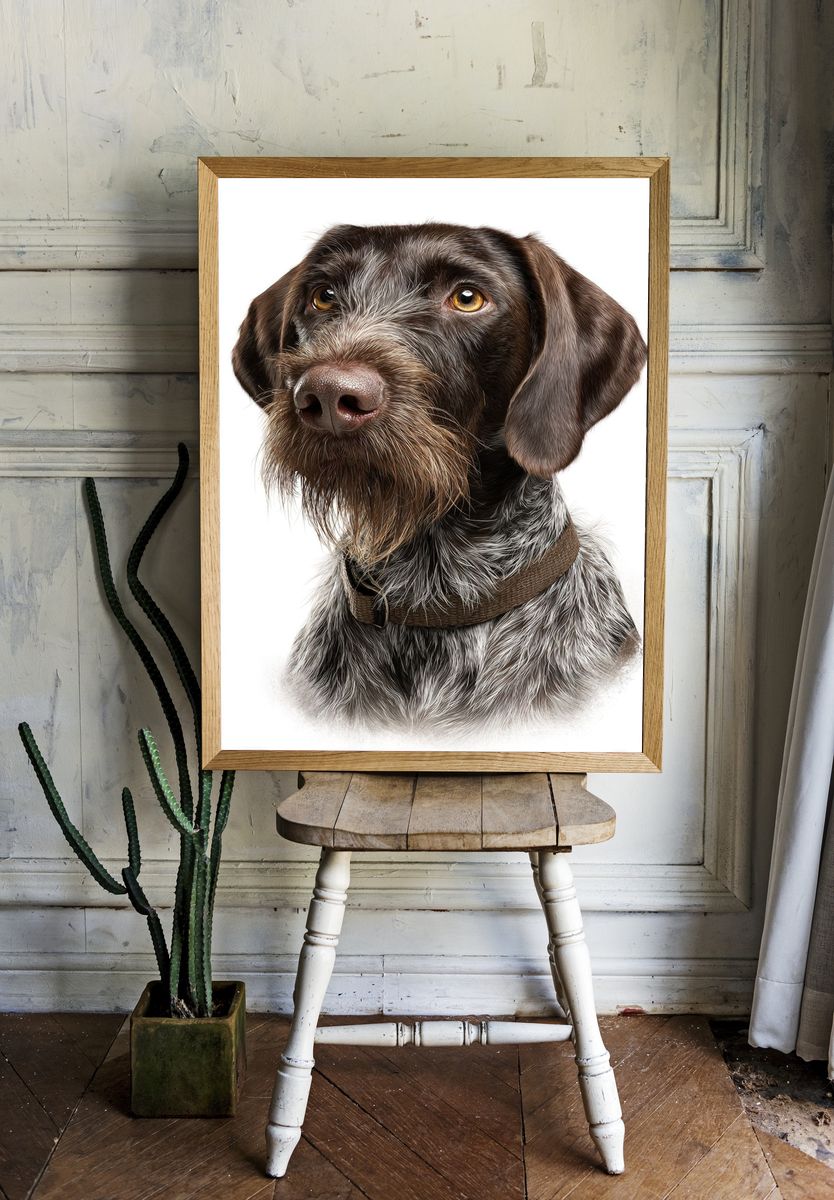 German Shorthaired Pointer Portrait Poster. — room view 1