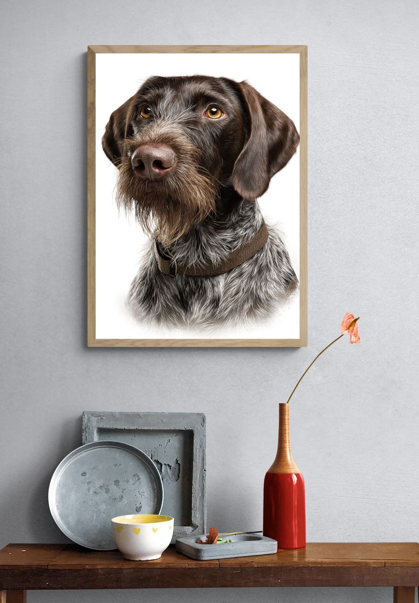 German Shorthaired Pointer Portrait Poster. — room view 3