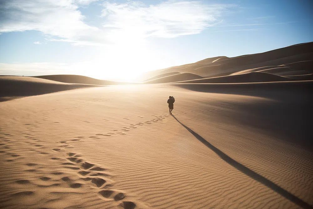 Desert Wanderer — Photography Print. poster — photography art