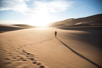 Desert Wanderer — Photography Print. poster