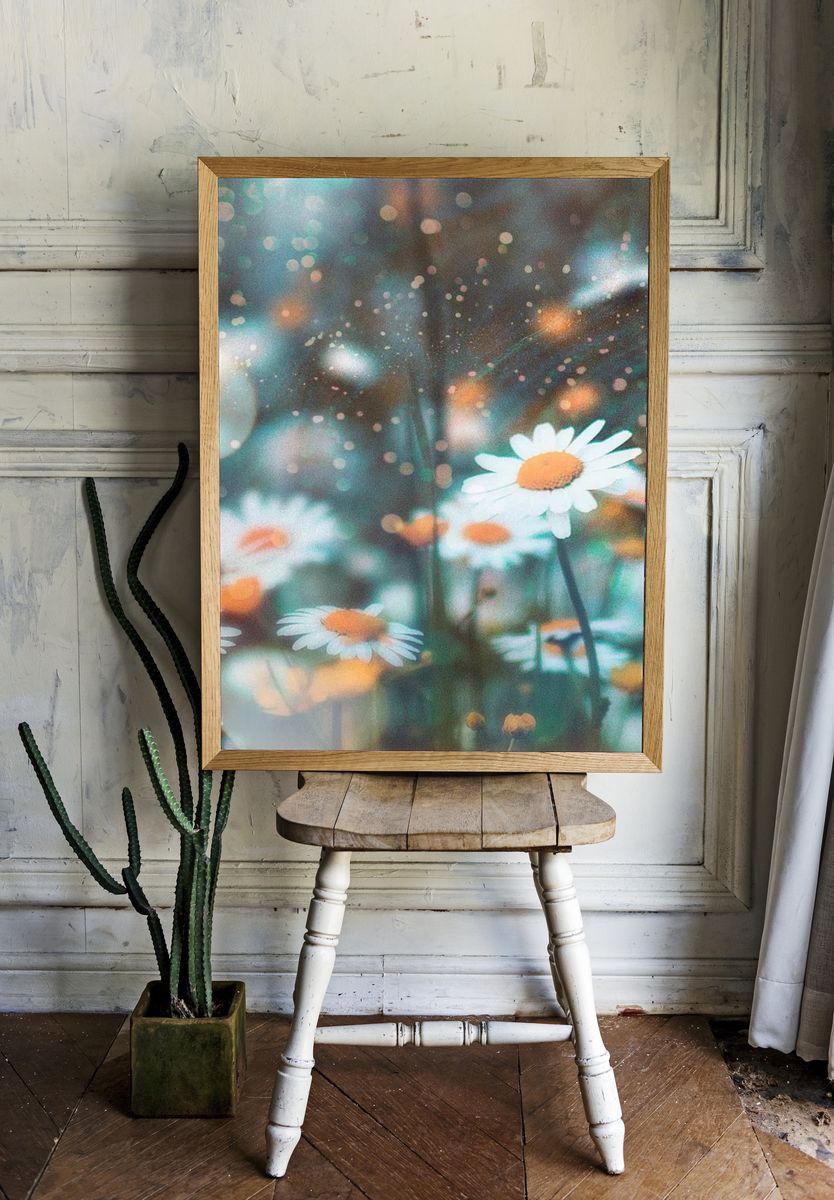 Daisy Field — Photography Print. — room view 1