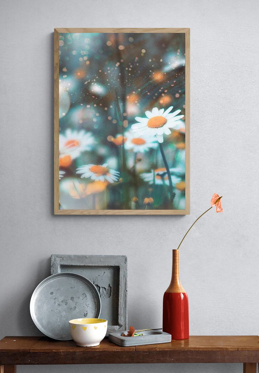 Daisy Field — Photography Print. — room view 3