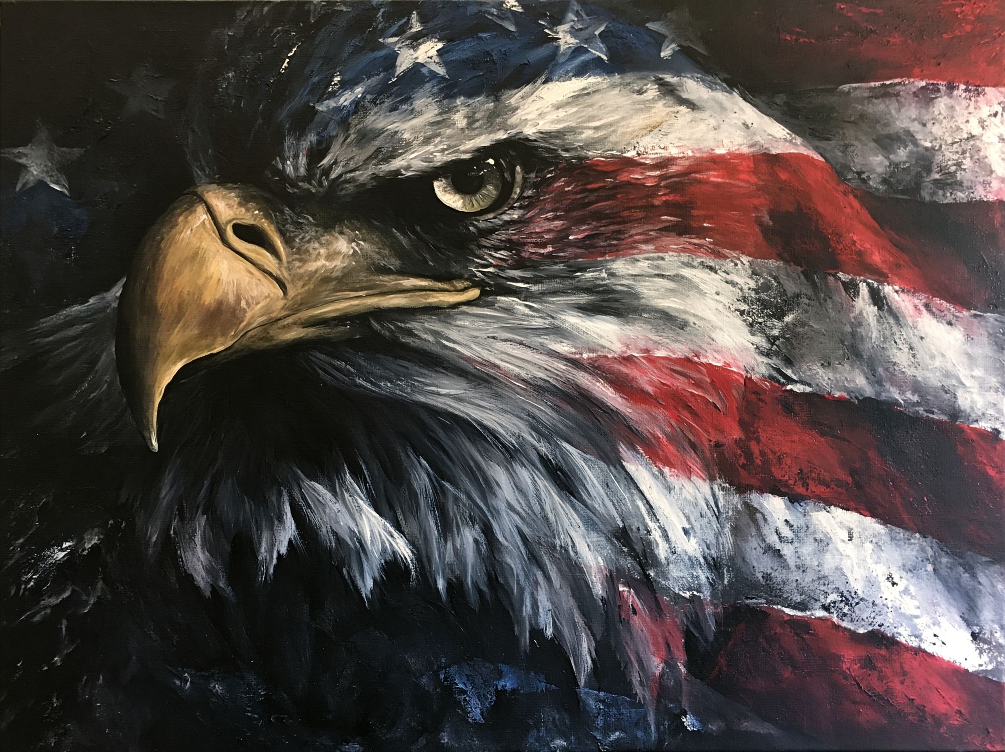 American Eagle Portrait Poster. poster — animals art