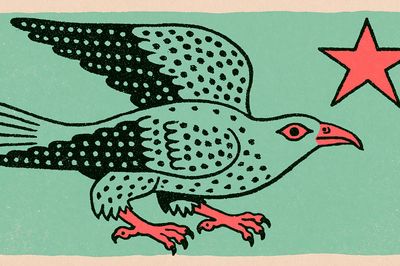 Flying Eagle Illustration Poster.