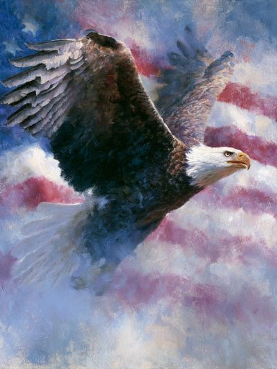 Majestic Eagle in Clouds Poster.
