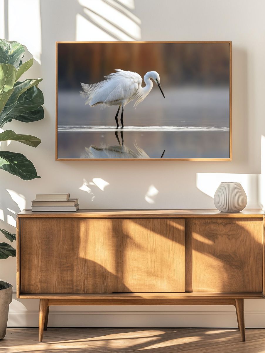 Elegant Egret Reflection Poster. — room view 3