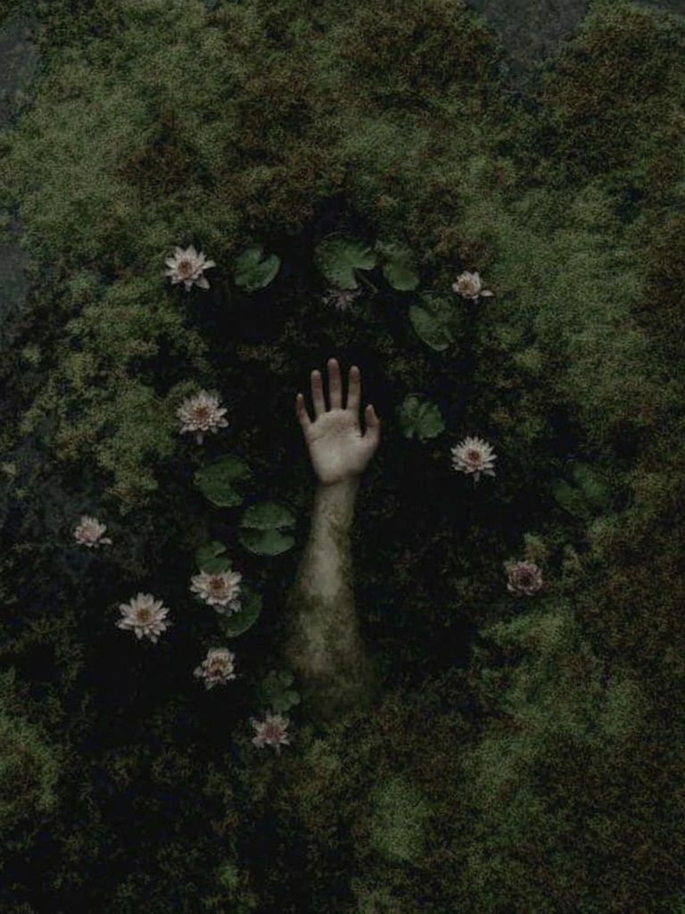 Emerging Hand Among Water Lilies — Fine Art Print. poster — fine-art art