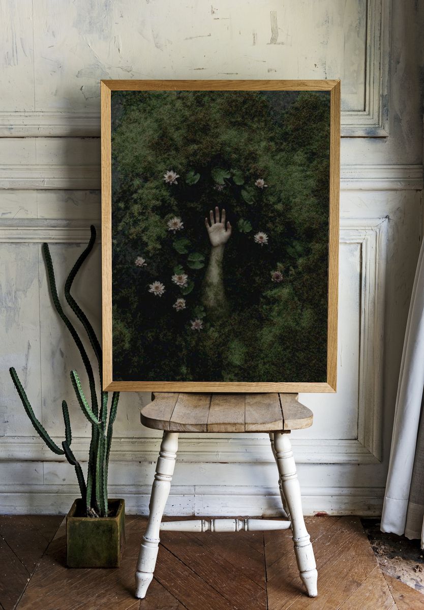 Emerging Hand Among Water Lilies — Fine Art Print. — room view 1