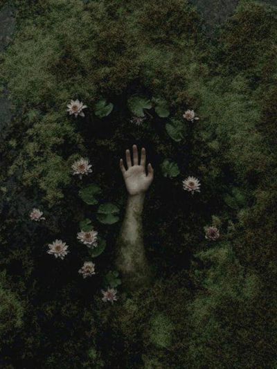 Emerging Hand Among Water Lilies — Fine Art Print. poster print