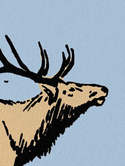 Majestic Elk — Illustration Print. poster print